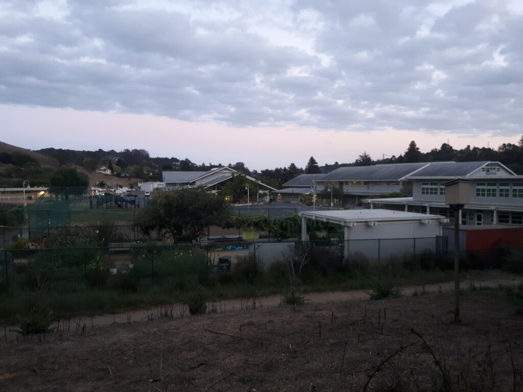 L'école de Charlie et Diane et son jardin potager